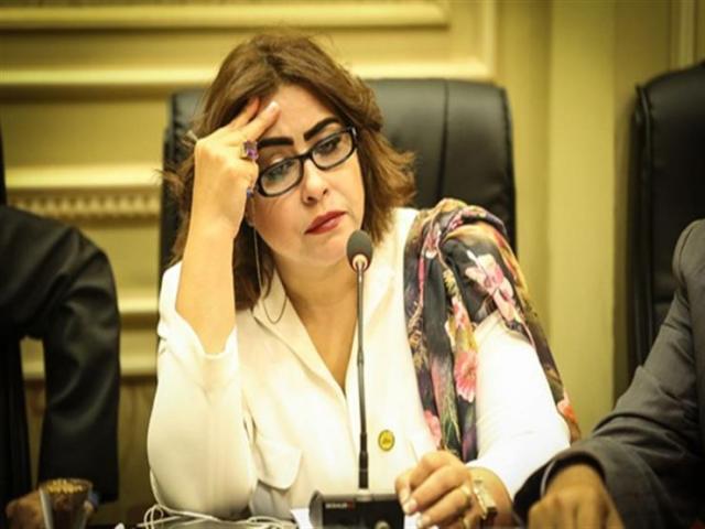 النائبة غادة عجمي