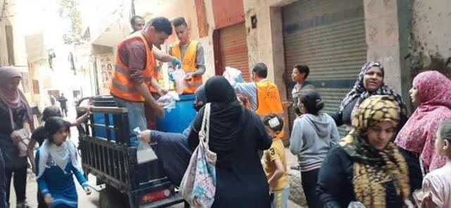 حملة تطهير حزب أبناء مصر