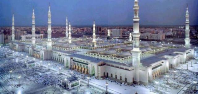 شوقي علام