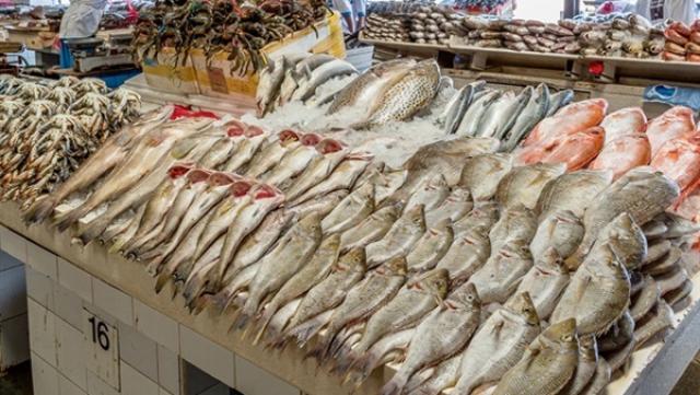 أسعار السمك اليوم الأربعاء 8-7-2020 في سوق العبور