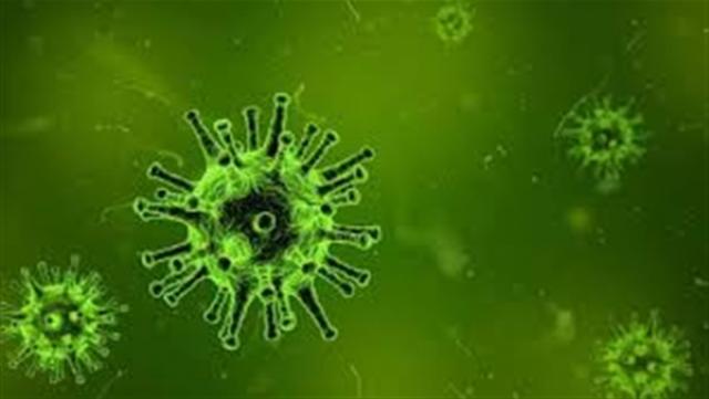 المصل واللقاح: فيروس كورونا بدأ يضعف.. وحدته أصبحت أقل (فيديو)