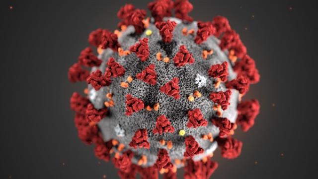 المكسيك تسجل 665 وفاة و6891 إصابة جديدة بفيروس كورونا