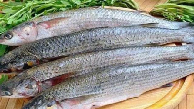 أسعار الأسماك اليوم الاثنين 13-7-2020 في سوق العبور