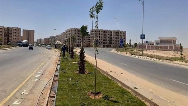 تنفيذ مشروع رفع كفاءة وصيانة المسطحات الخضراء بمدينة الشروق