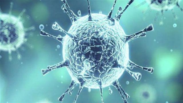 لجنة مكافحة كورونا: انخفاض انتشار الفيروس بين المواطنين (فيديو)