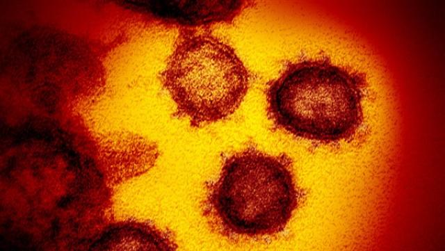 70 وفاة و4592 إصابة جديدة بفيروس كورونا في المغرب