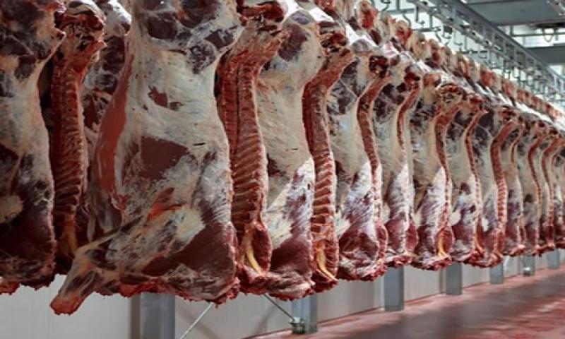 الزراعة: ضخ كميات إضافية من اللحوم