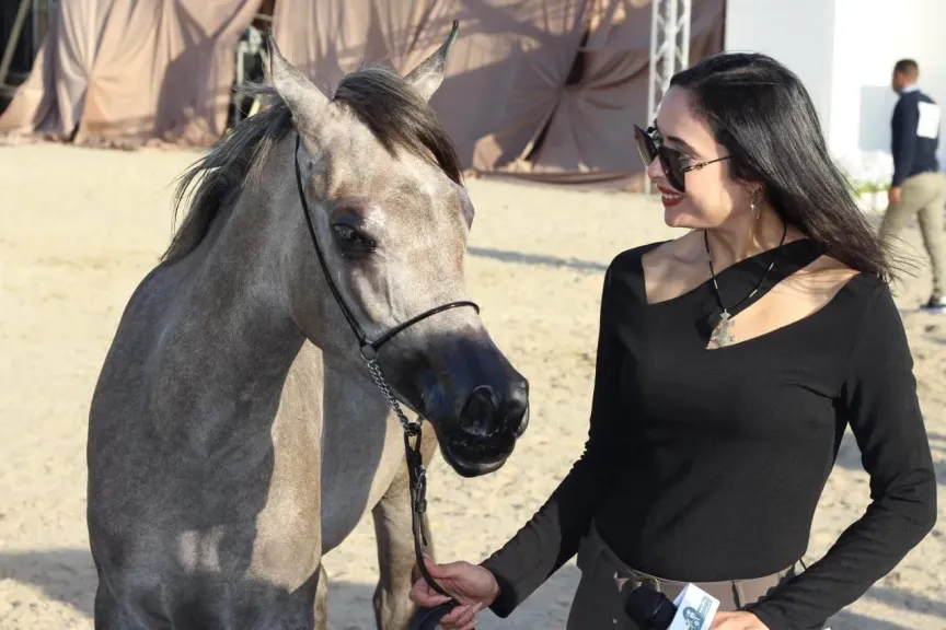 ختام مبهر لمهرجان «أصيل» الدولي.. ومصر تؤكد ريادتها في عالم الخيل العربي الأصيل