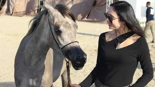 ختام مبهر لمهرجان «أصيل» الدولي.. ومصر تؤكد ريادتها في عالم الخيل العربي الأصيل