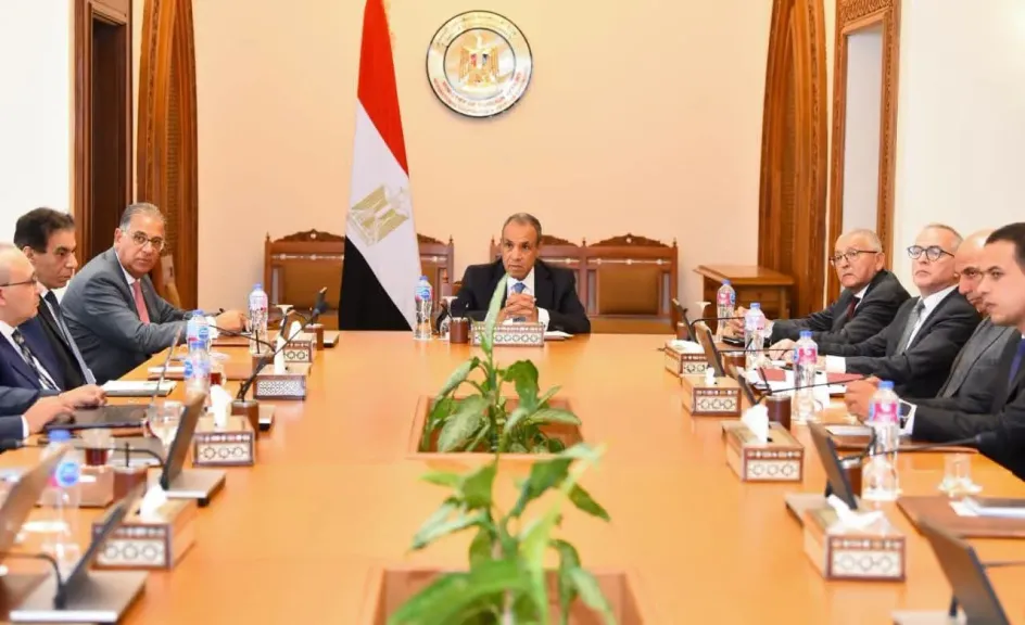 وزير الخارجية يتابع مستجدات إنشاء المنصة الإلكترونية للخدمات القنصلية للمصريين بالخارج