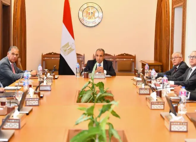 وزير الخارجية يتابع مستجدات إنشاء المنصة الإلكترونية للخدمات القنصلية للمصريين بالخارج