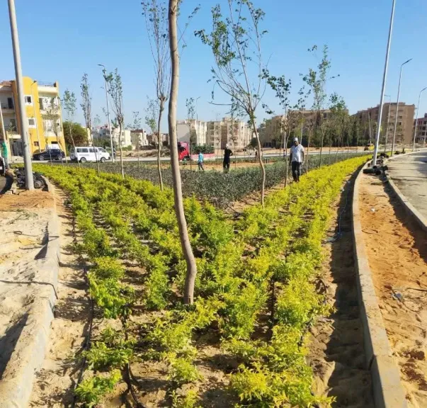 وزيرة الإسكان تتابع موقف تنفيذ عدد من المشروعات وأعمال تطوير الخدمات والحملات بمدينة بدر