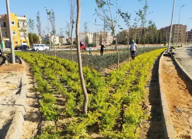 وزيرة الإسكان تتابع موقف تنفيذ عدد من المشروعات وأعمال تطوير الخدمات والحملات بمدينة بدر