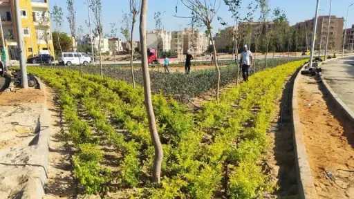 وزيرة الإسكان تتابع موقف تنفيذ عدد من المشروعات وأعمال تطوير الخدمات والحملات بمدينة بدر