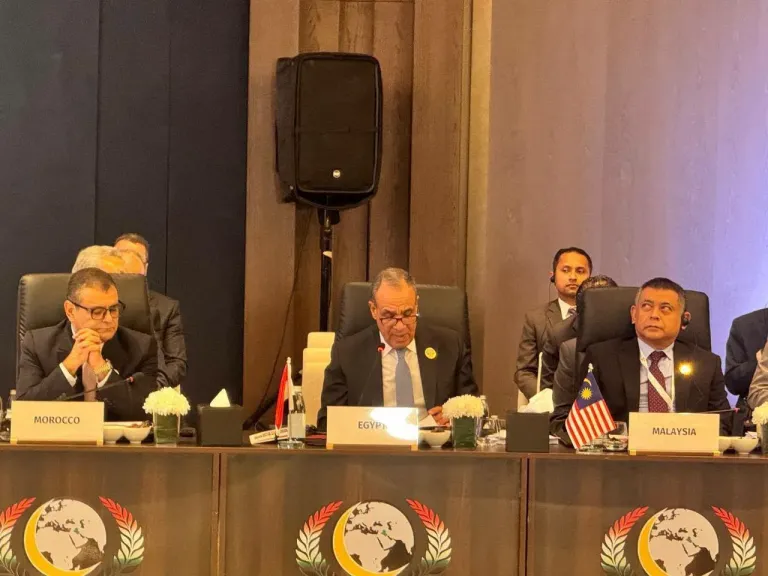 وزير الخارجية يلقي كلمة مصر في اجتماعات الدورة الـ52 لمجلس وزراء خارجية منظمة التعاون الإسلامي